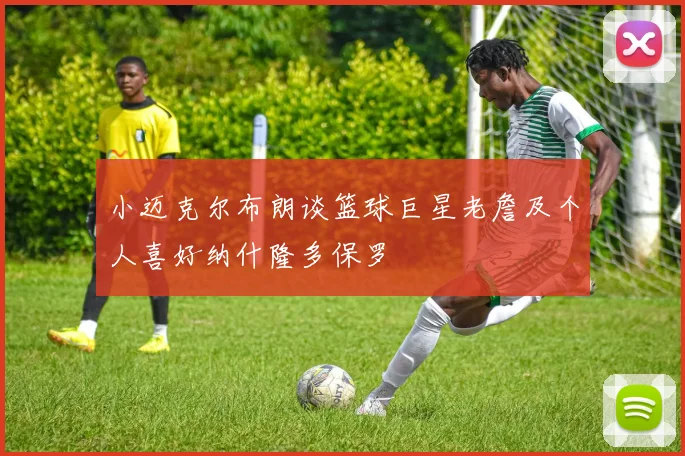 小迈克尔布朗谈篮球巨星老詹及个人喜好纳什隆多保罗